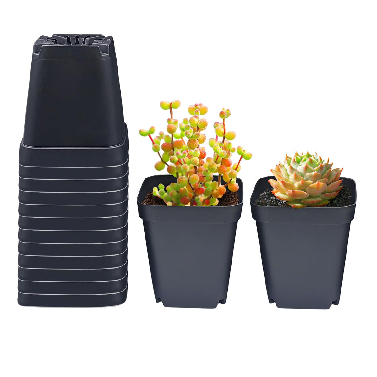 RooTrimmer Square Nursery pots 4 Inches 60Pcs, Seedling Plastic Seeds propogation Growing Pots (Black,4Inches,60Pcs)