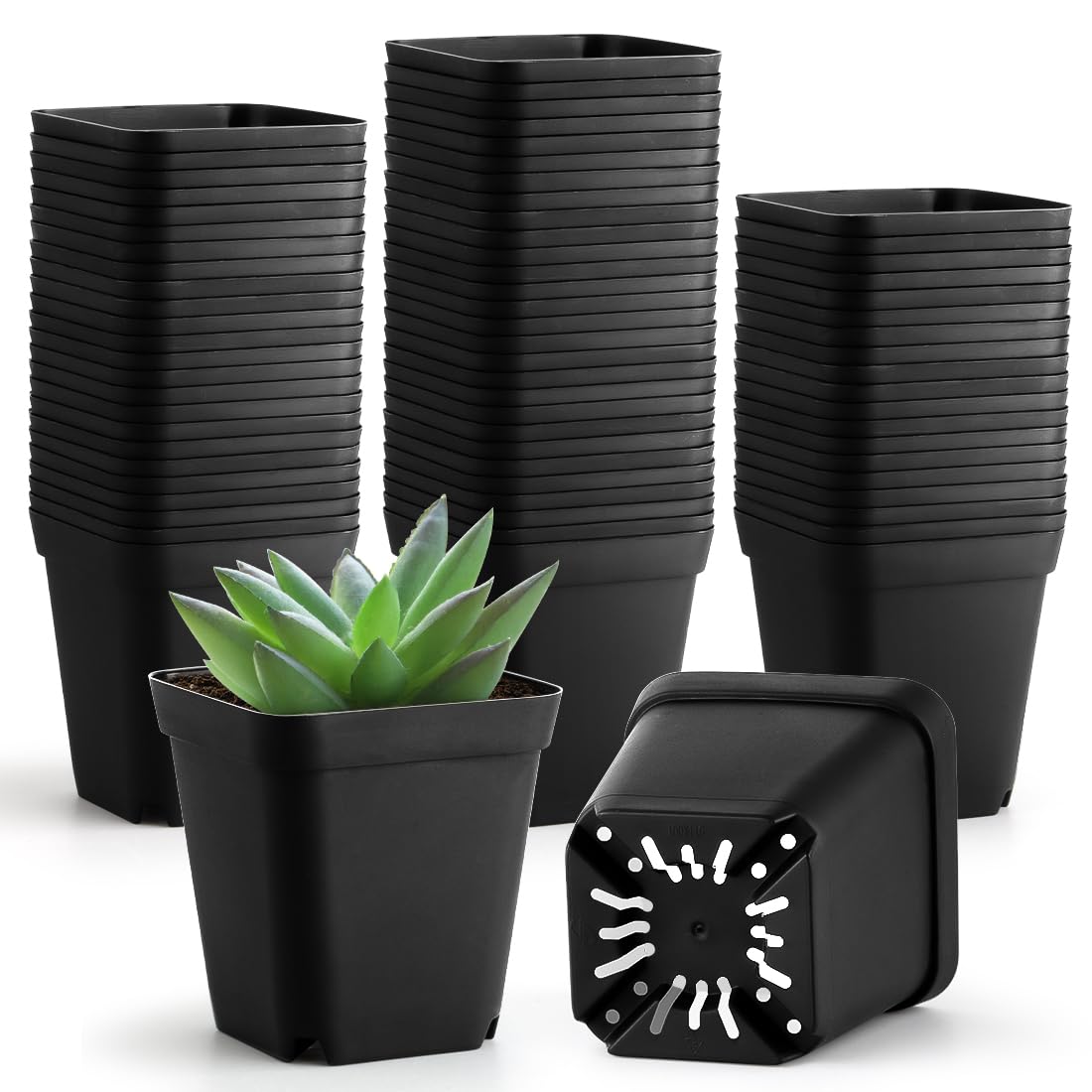 60 Pcs Nursery Pots 2.7 Inch, Plastic Seed Starting Pot with Drainage Holes, Sturdy Seedling pots for Planting, Cuttings (Black)