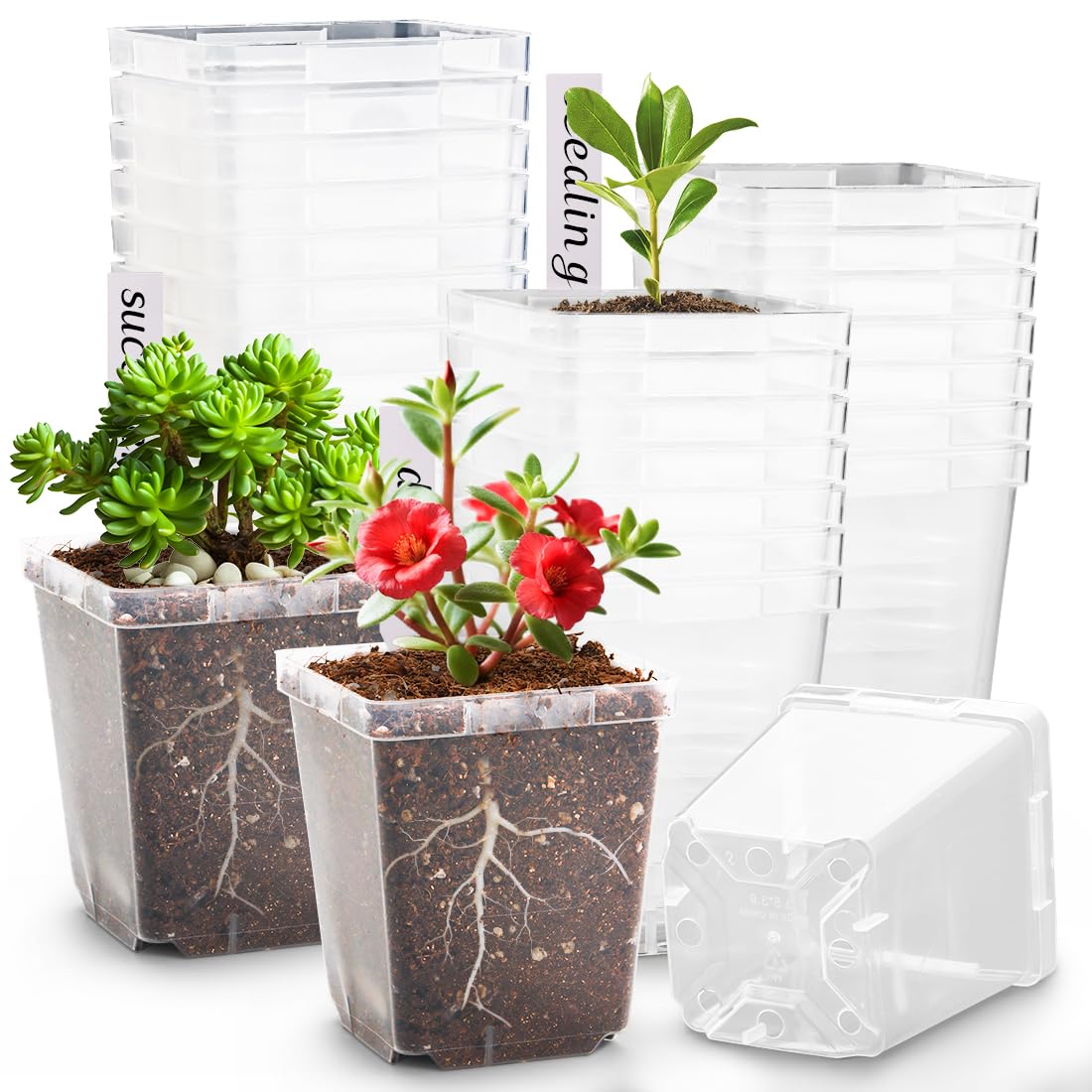 RooTrimmer 100 Pack Plant Nursery Pots 3.15 Inch, Durable Square Seedling Pots with Drainage Holes, Reusable Small Plastic Flower Pots for Seed Starting, Transplanting, Herb Garden