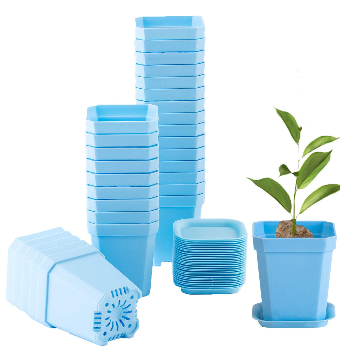 30Pcs 3 Inch Clear Nursery Pots with Saucers, Square Plastic Plant Pot