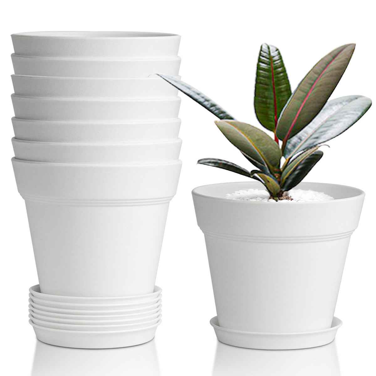 T4U Small Plant Pots 5 Inch 8 Pack, Plastic Indoor Flower Pots Saucer White