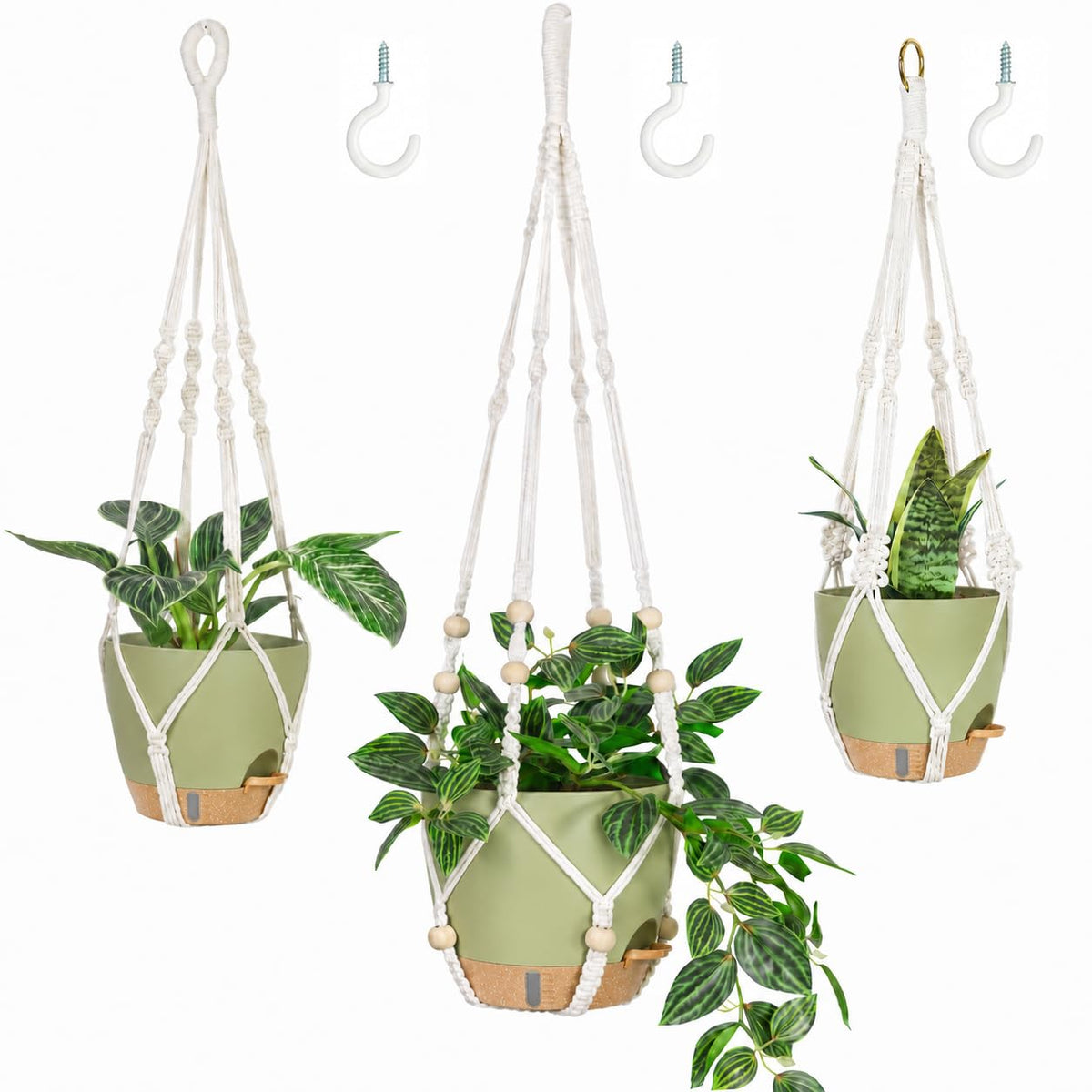 Bouqlife 3 Set Self Watering Hanging Planters for Indoor Plants
