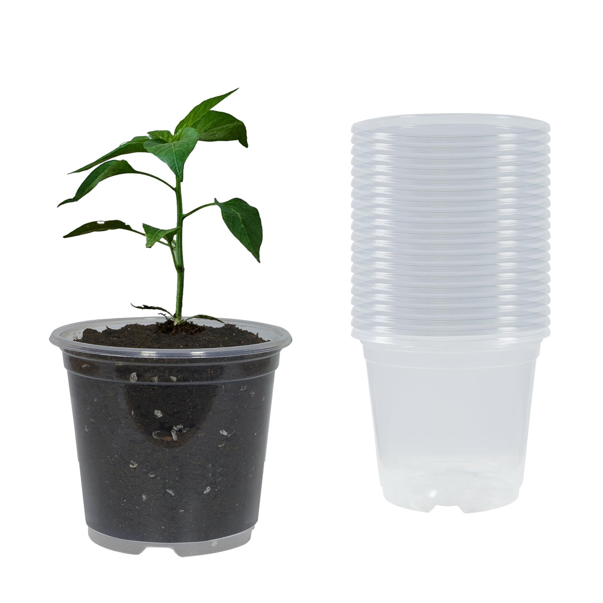 20 Pack 4 Inch Clear Nursery Pots with Drainage and 20 Pack Plant Saucers, Plant Pots for Plants Transparent Potting Containers for Plants Seeding Starter Pot (Clear, 4 Inch)