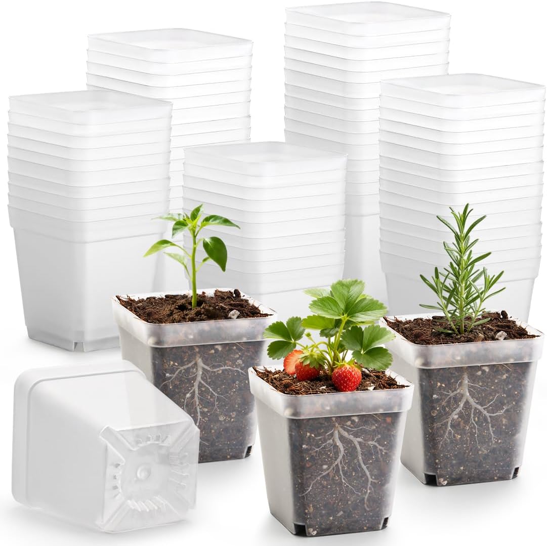 RooTrimmer 120 Packs Square Clear Nursery Pots with Drainage, 2.7 Inch Plastic Seedling Pots for Indoor Plants, Thickened Small Transplant Pot for Seed Starting Succulents Vegetables Lettuce Flowers
