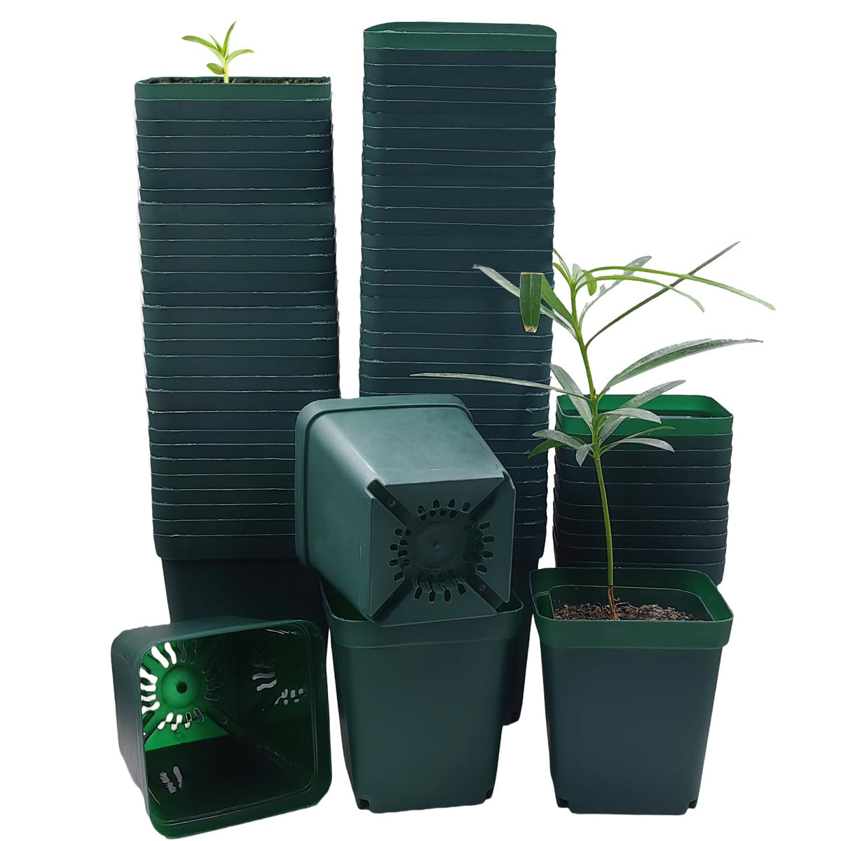 RooTrimmer 120 Packs Square Clear Nursery Pots with Drainage, 2.7 Inch Plastic Seedling Pots for Indoor Plants, Thickened Small Transplant Pot for Seed Starting Succulents Vegetables Lettuce Flowers