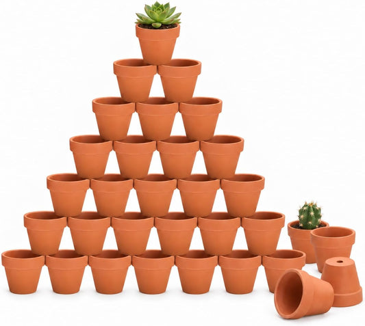 Riseuvo 2 Inch Terracotta Pots, 32 Pack Mini Clay Pots with Drainage Holes