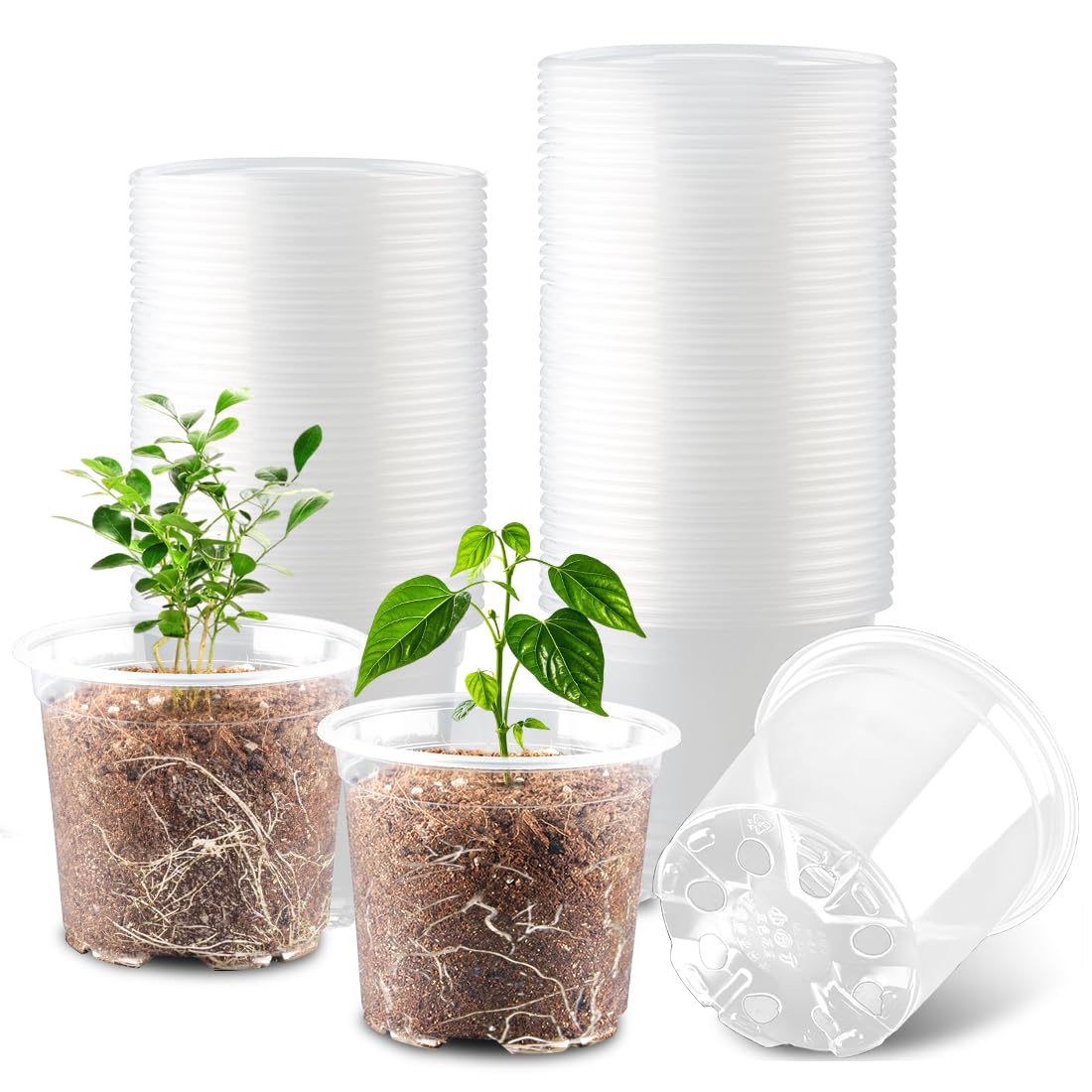RooTrimmer 4" Clear Seeding Pots 50-Pack Round for Seeds Starting, Seeds Germination Transparent Nursery Pots with Drainage Holes (4Inch,Clear,50Pcs)