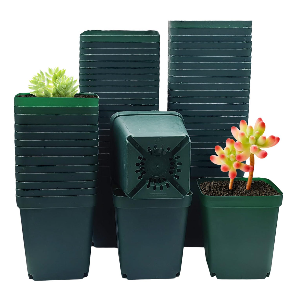 RooTrimmer 100 Pack Plant Nursery Pots 3.15 Inch, Durable Square Seedling Pots with Drainage Holes, Reusable Small Plastic Flower Pots for Seed Starting, Transplanting, Herb Garden