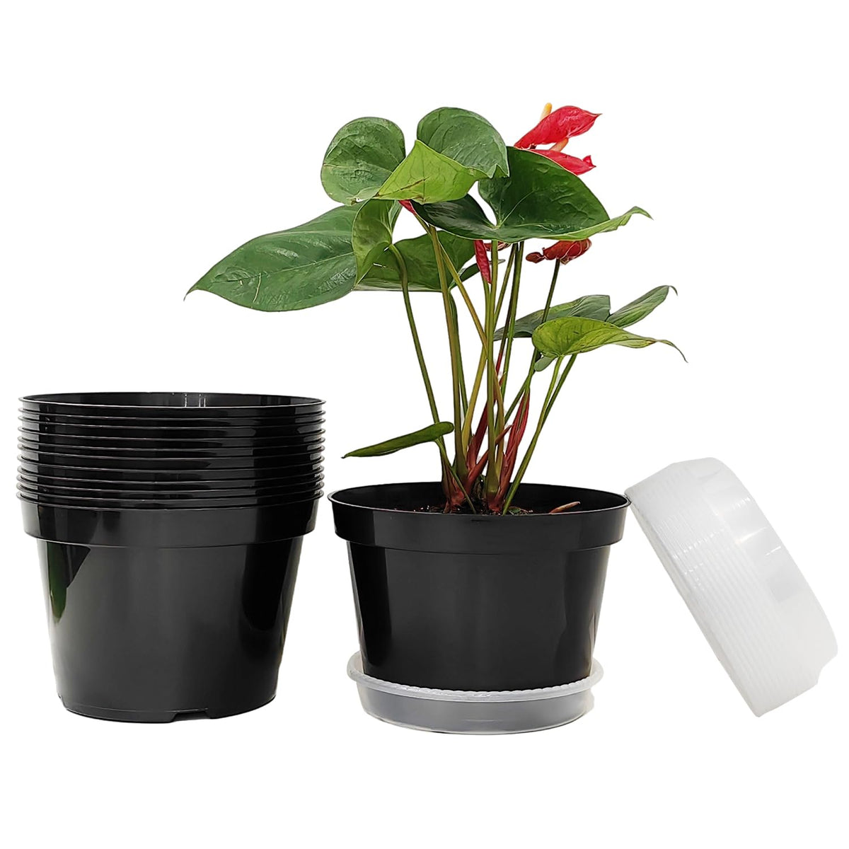 RooTrimmer 40 Pack 4 Inch Plant Nursery Pots with Mesh Pad, Sturdy Plastic Flower Planter Pots with Drainage Holes, Seed Starter Pots for Planting Seedings Cuttings Succulents Indoor Ourdoor, Black