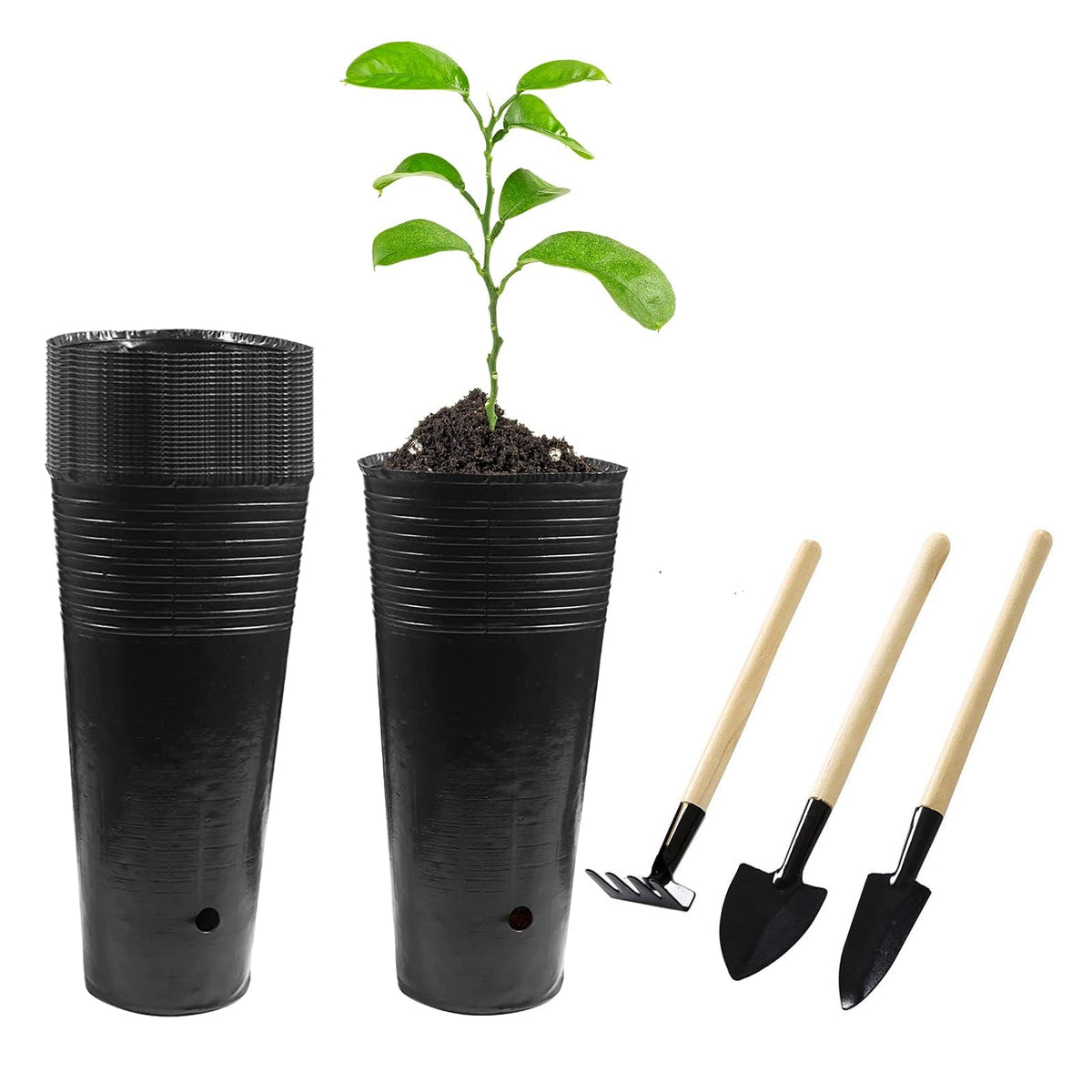 50 Pcs 12" Tall Tree Pots Plastic Deep Nursery Pots