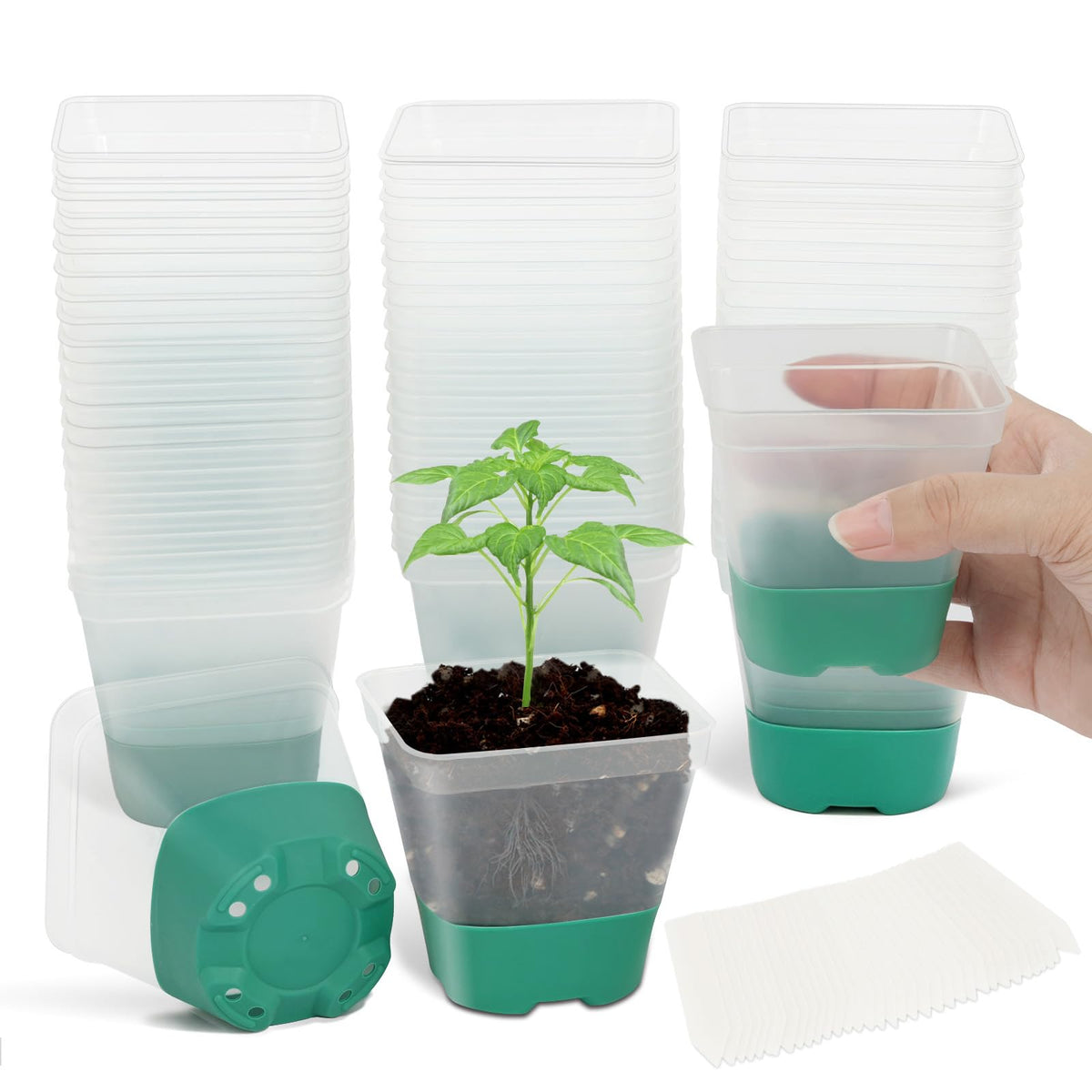 Sankoly 30 Packs Clear Nursery Pots with Plant Labels 3 Inch Plastic Plant Pot with Humidity Domes Silicone Base and Drainage Holes Reusable Seedling Pots