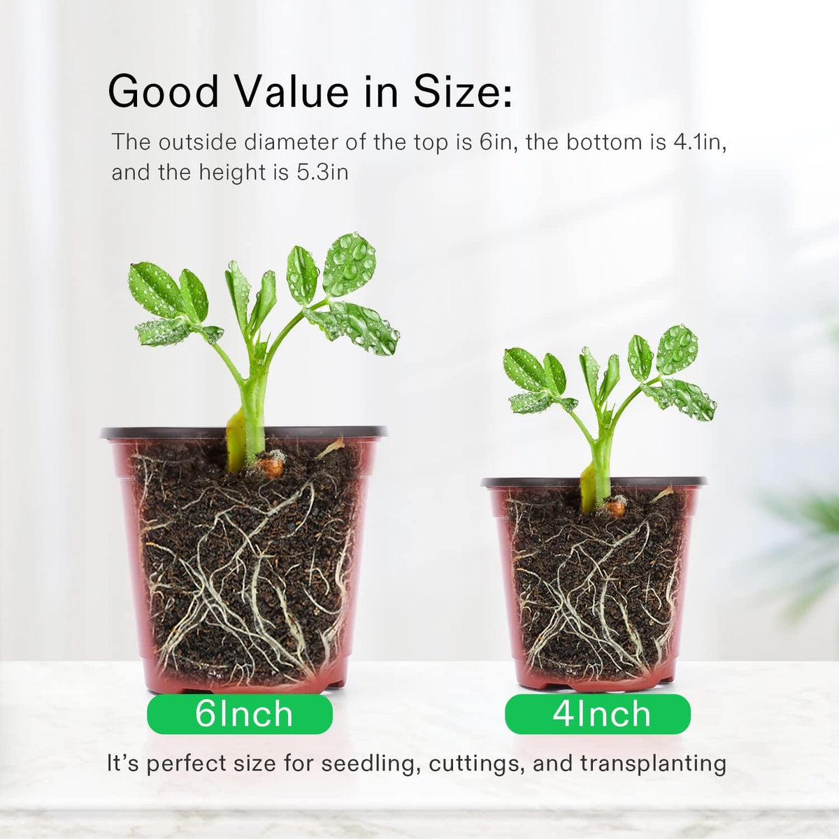 VIVOSUN 50 Pcs 6 in Plastic Plant Nursery Pots, Seed Starting Pots