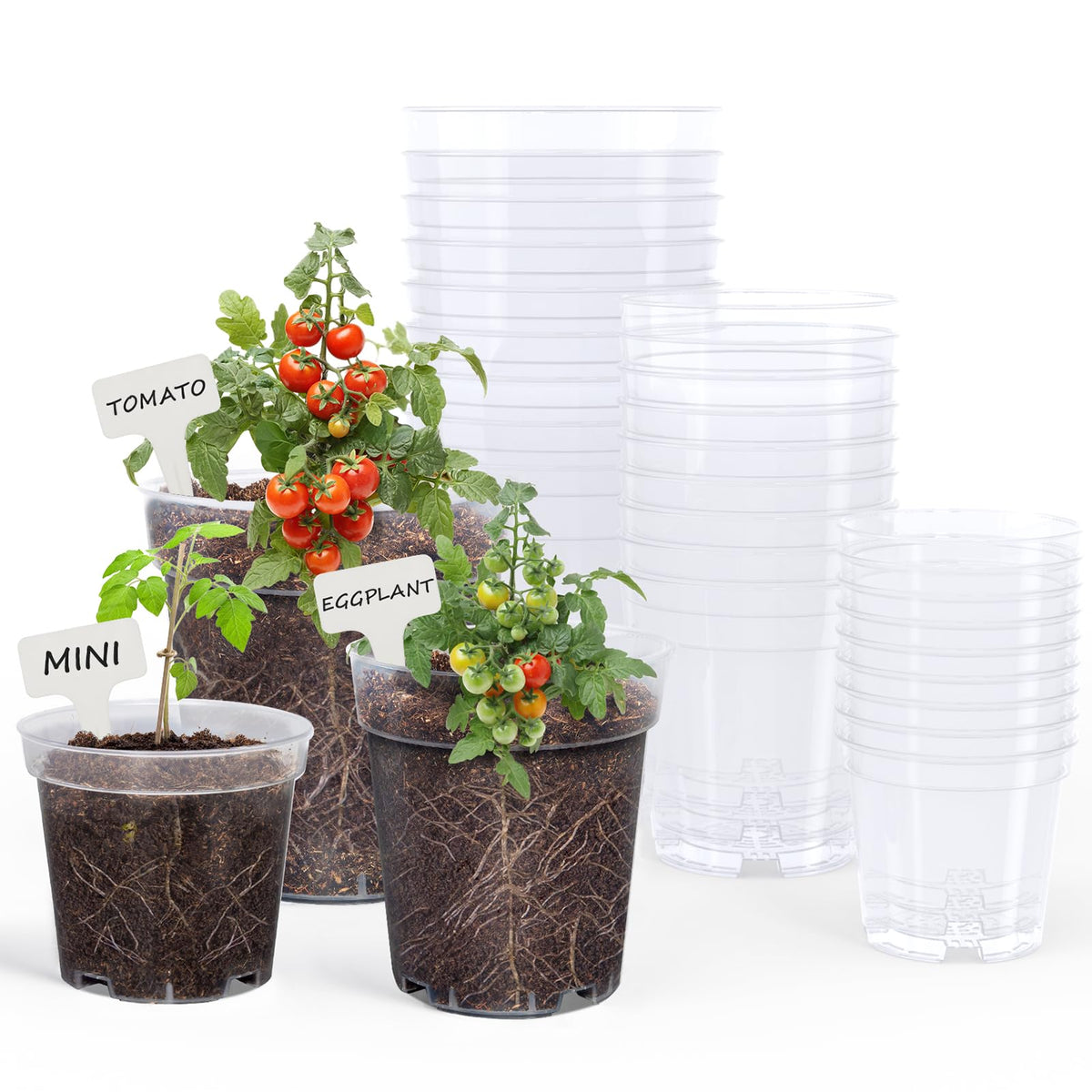 homenote 3/4/5 Inch Clear Nursery Pots with Drainage and 20 Labels (30 Pcs)
