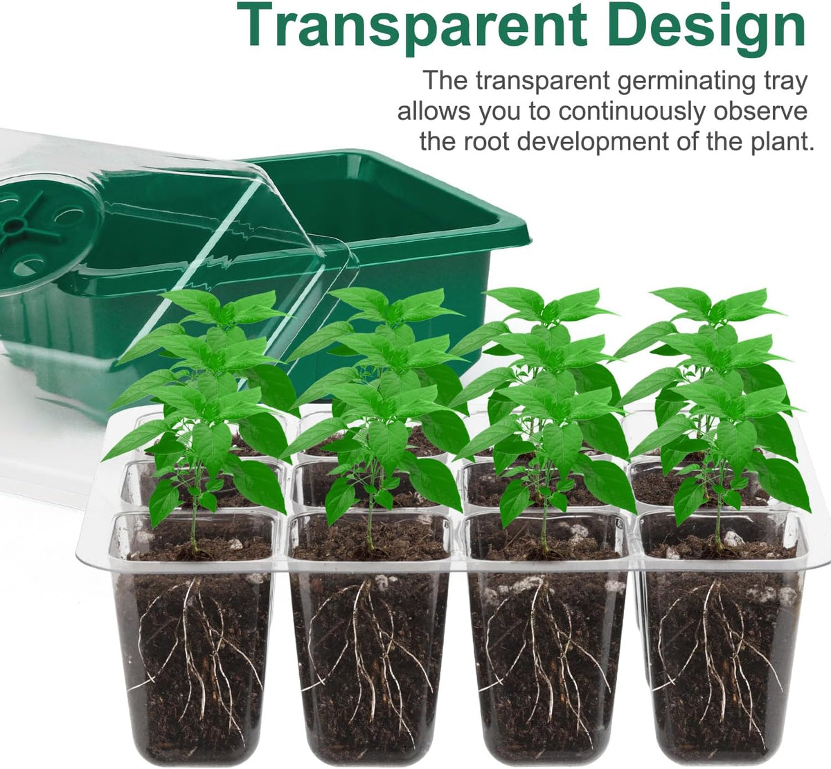 12 Pack Seed Starter Trays, 144Cell Stater Kit with Humidity Dome Green
