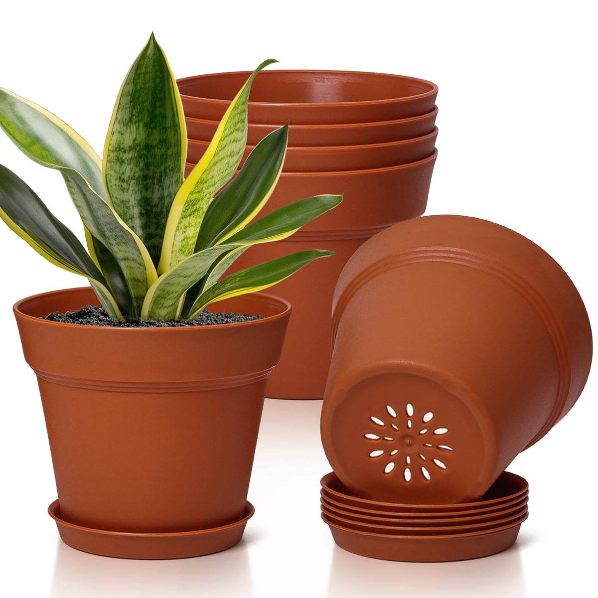 T4U Small Plant Pots 5 Inch 8 Pack, Plastic Indoor Flower Pots Saucer White