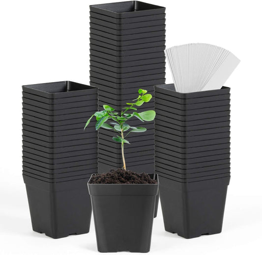 June Fox Square Nursery Pots 3.3 Inches Flexible Plastic Seedling Pots Square Pots for Plants, Succulent, Flower, Pack of 60, with 60 PCS Plant Labels