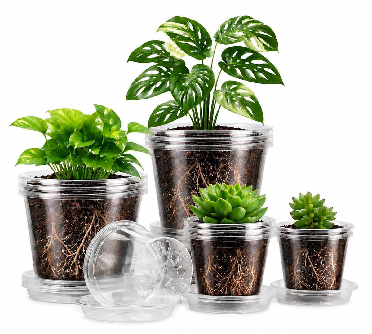 MIXC Clear Nursery Pots with Drainage Holes, 7/5/4/3.5 Inch 36 Pack