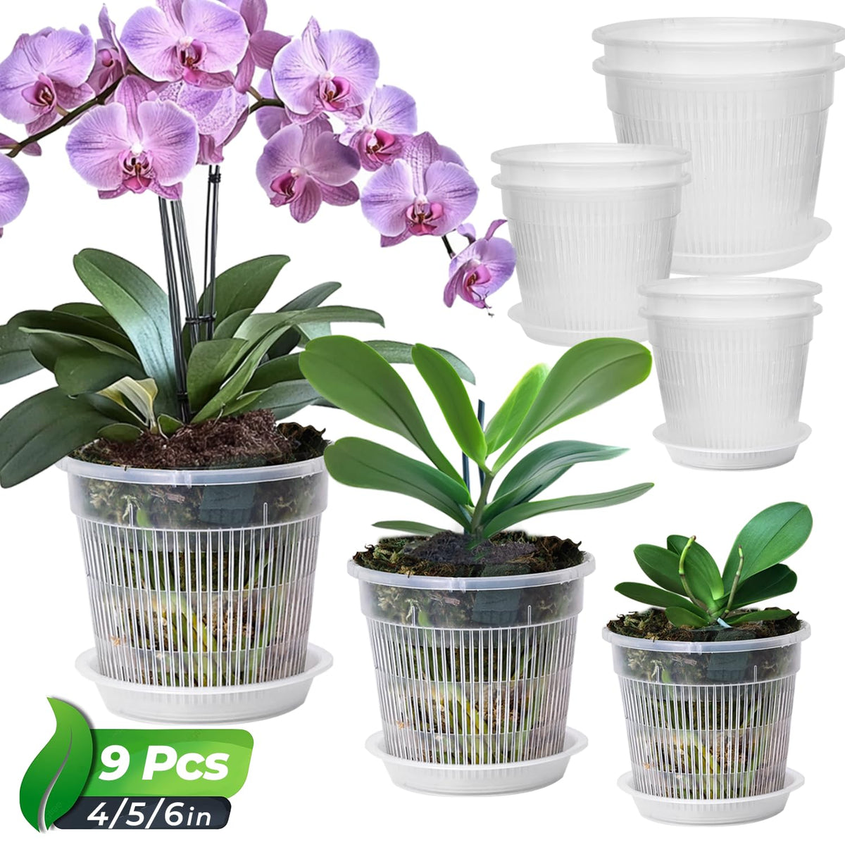 T4U Clear Orchid Pots 4.3 Inch 6 Pack, Orchid Pot with Holes Repotting
