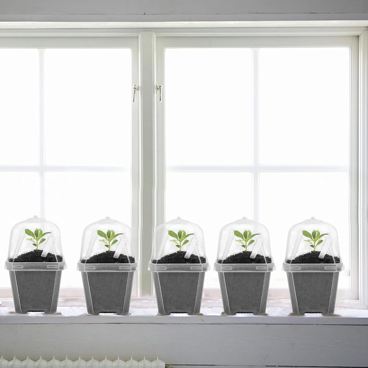 10 Pcs 3" Clear Plant Nursery Pot with Humidity Dome, Plastic Gardening Pot