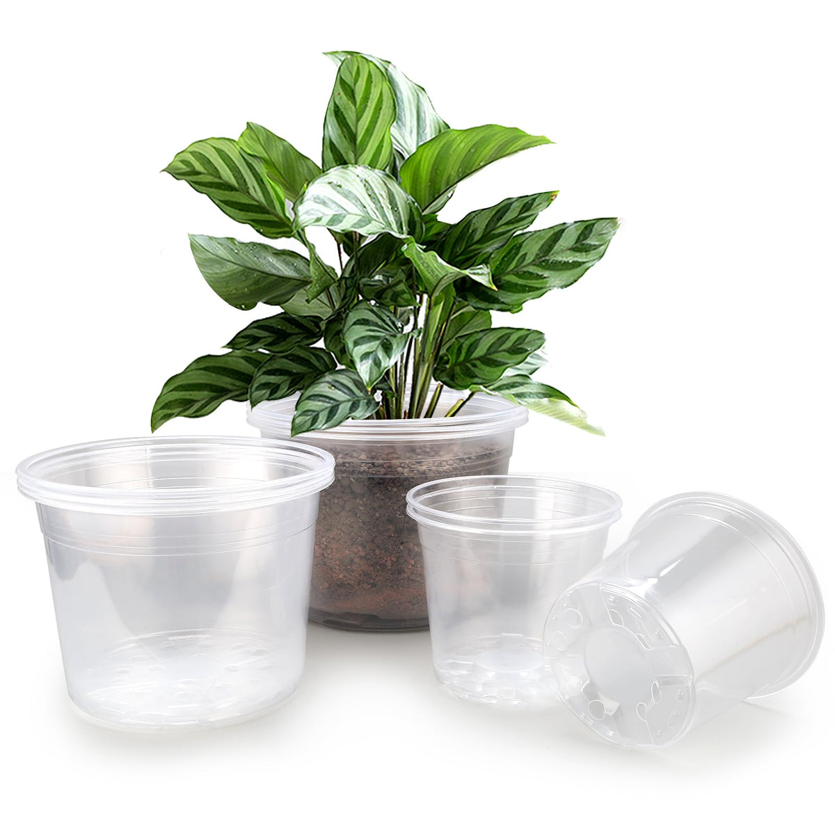 7/8/10 Inch Large Clear Nursery Pots with Drainage, 9 Pack Plastic Pots for Plants, Clear Plant Seedling Pots for Indoor & Outdoor Gardening (7 8 10 inch)