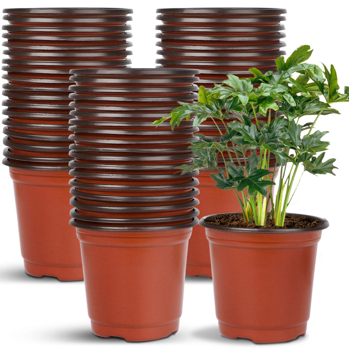 Augshy 110 Pcs 6 Inches Plastic Plants Nursery Pot, Seed Starting Pots