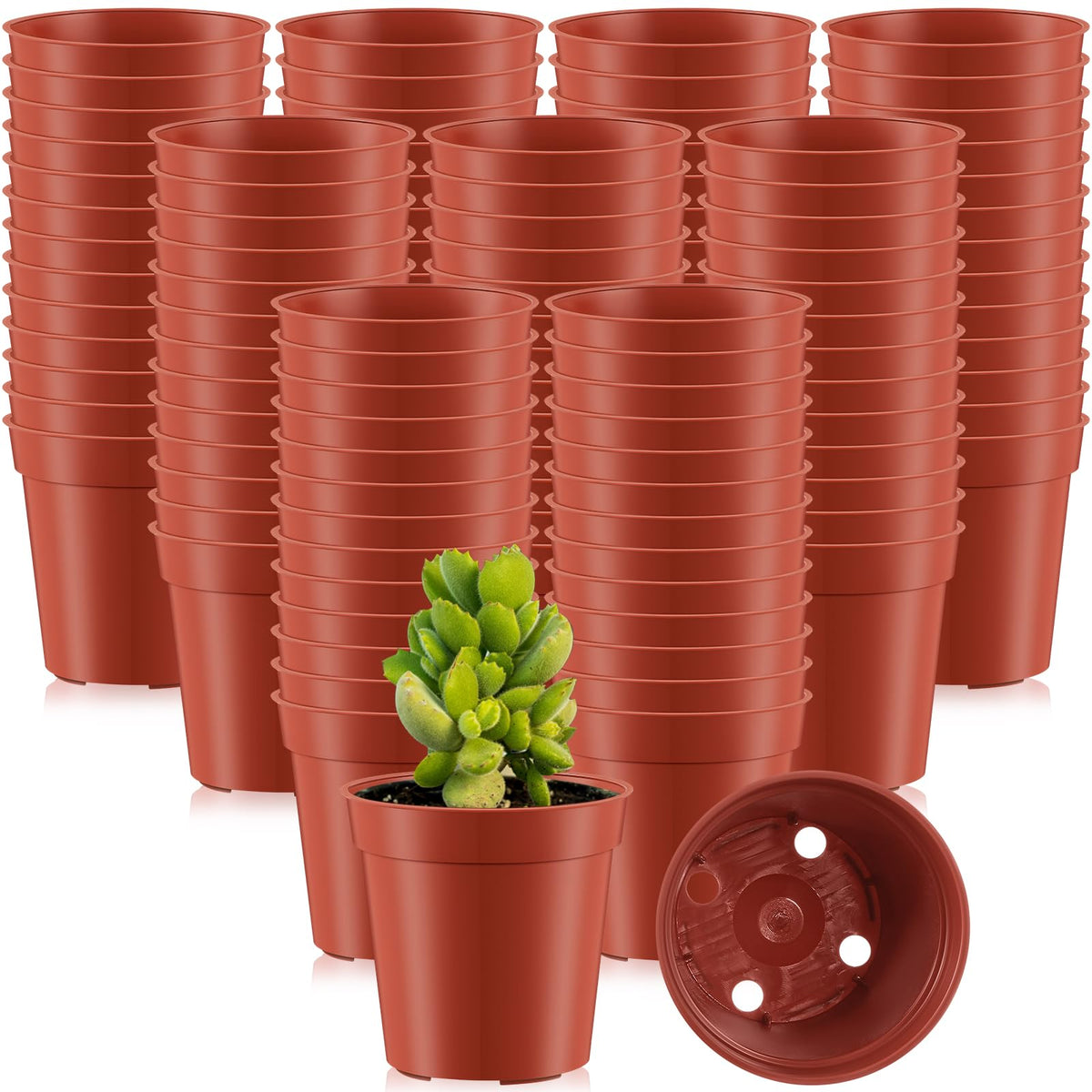 Yaomiao 200 Pcs 2 Inch Clear Mini Nursery Pots with Drainage Holes