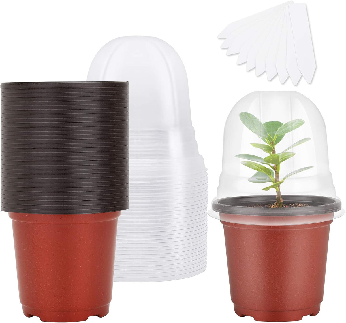MIXC Nursery Pots with Humidity Dome, 4" Seed Starting Pot 30 Pack, Red