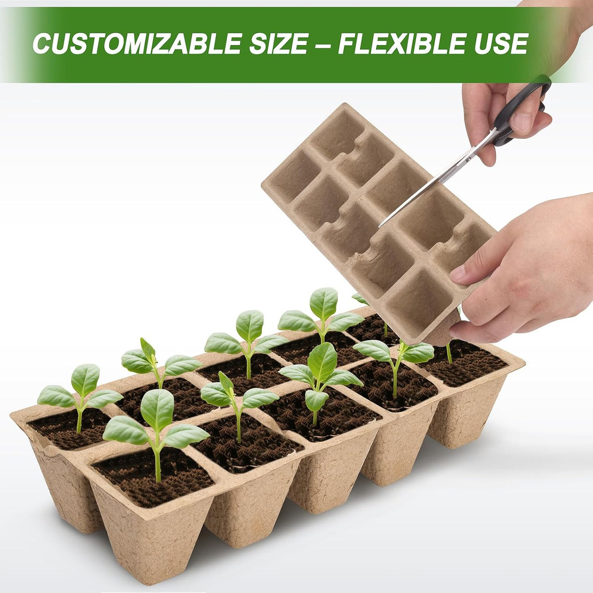300 Cells Peat Pots, Seed Starter Trays Planting Trays for Seedlings