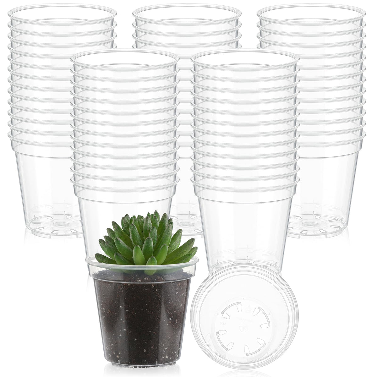 Yaomiao 200 Pcs 2 Inch Clear Mini Nursery Pots with Drainage Holes