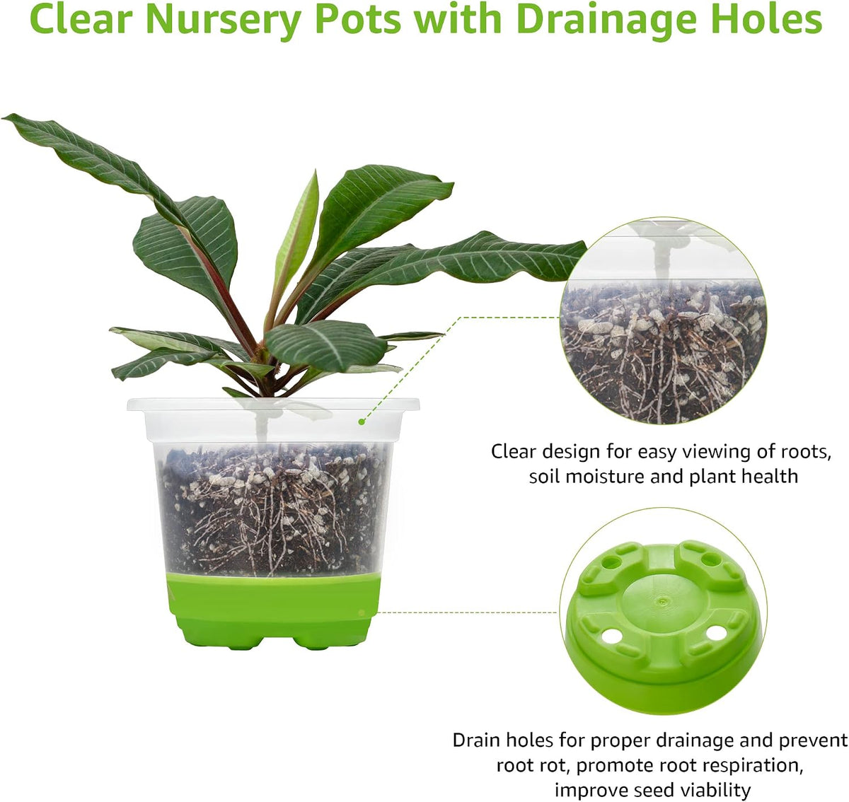 MIXC Clear Nursery Pots with Silicone Base, 4-Inch, 30-Pack
