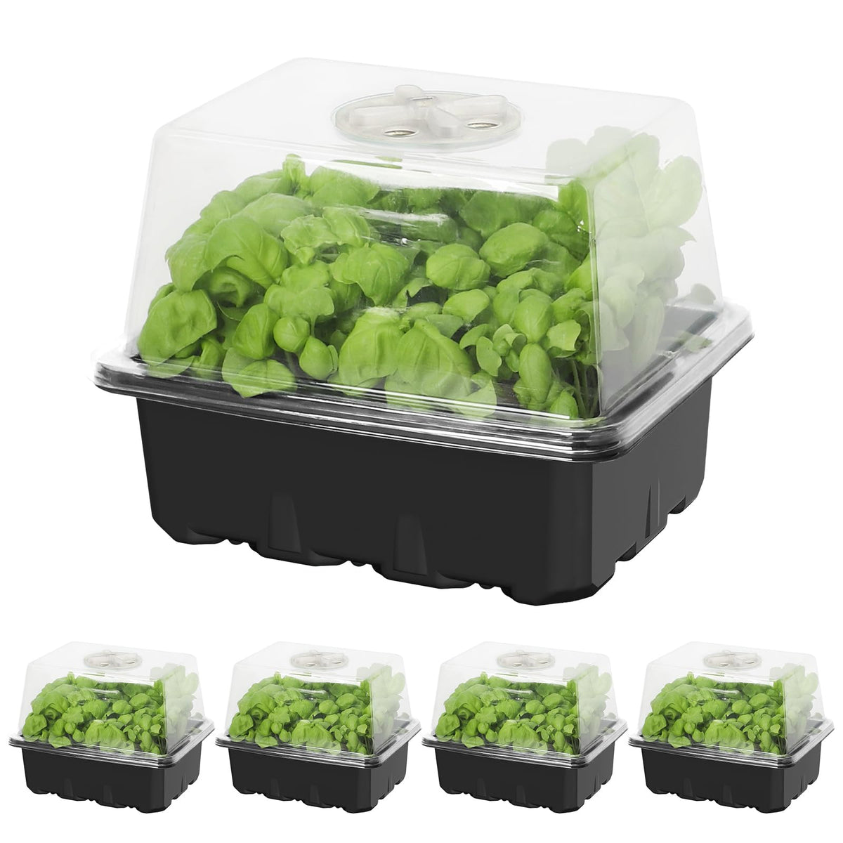 MIXC 6 Pack Seed Starter Kit with Grow Light, Vented Humidity Dome, Green