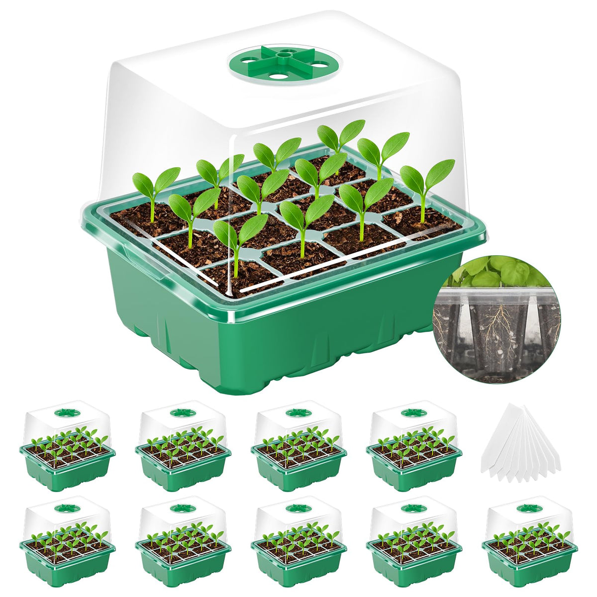 MIXC 10 Pack Seed Starter Tray, 120Cell Stater Kit with Humidity Dome Green