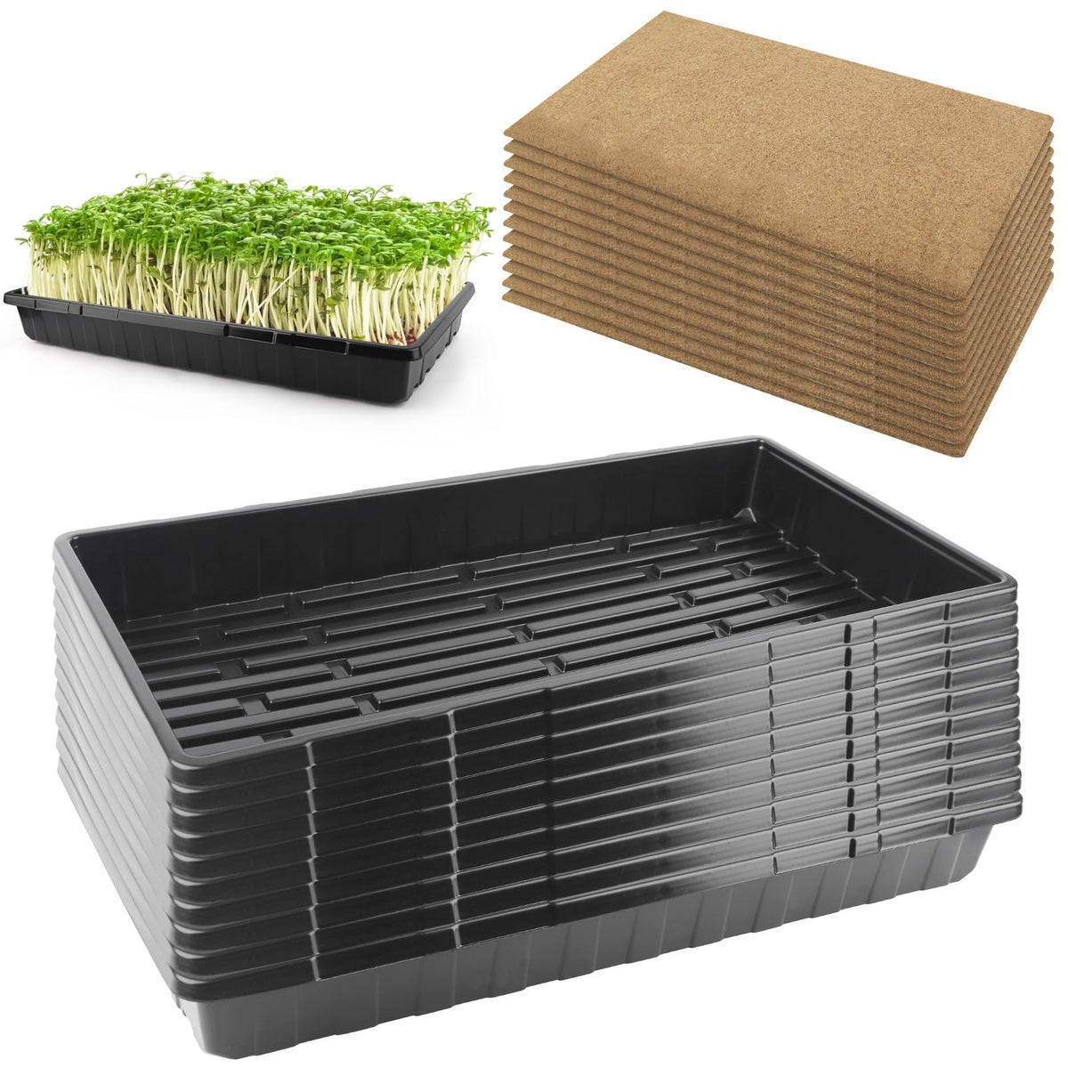 6 Pack Microgreens Growing Kit, Microgreens Trays for Indoor Gardening