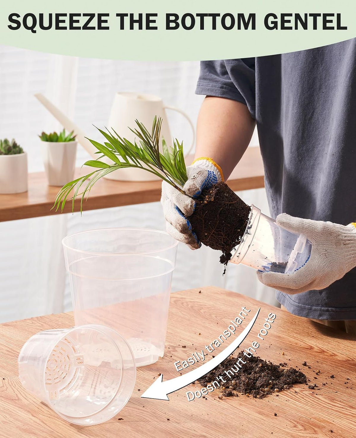 homenote 3/4/5 Inch Clear Nursery Pots with Drainage and 20 Labels (30 Pcs)