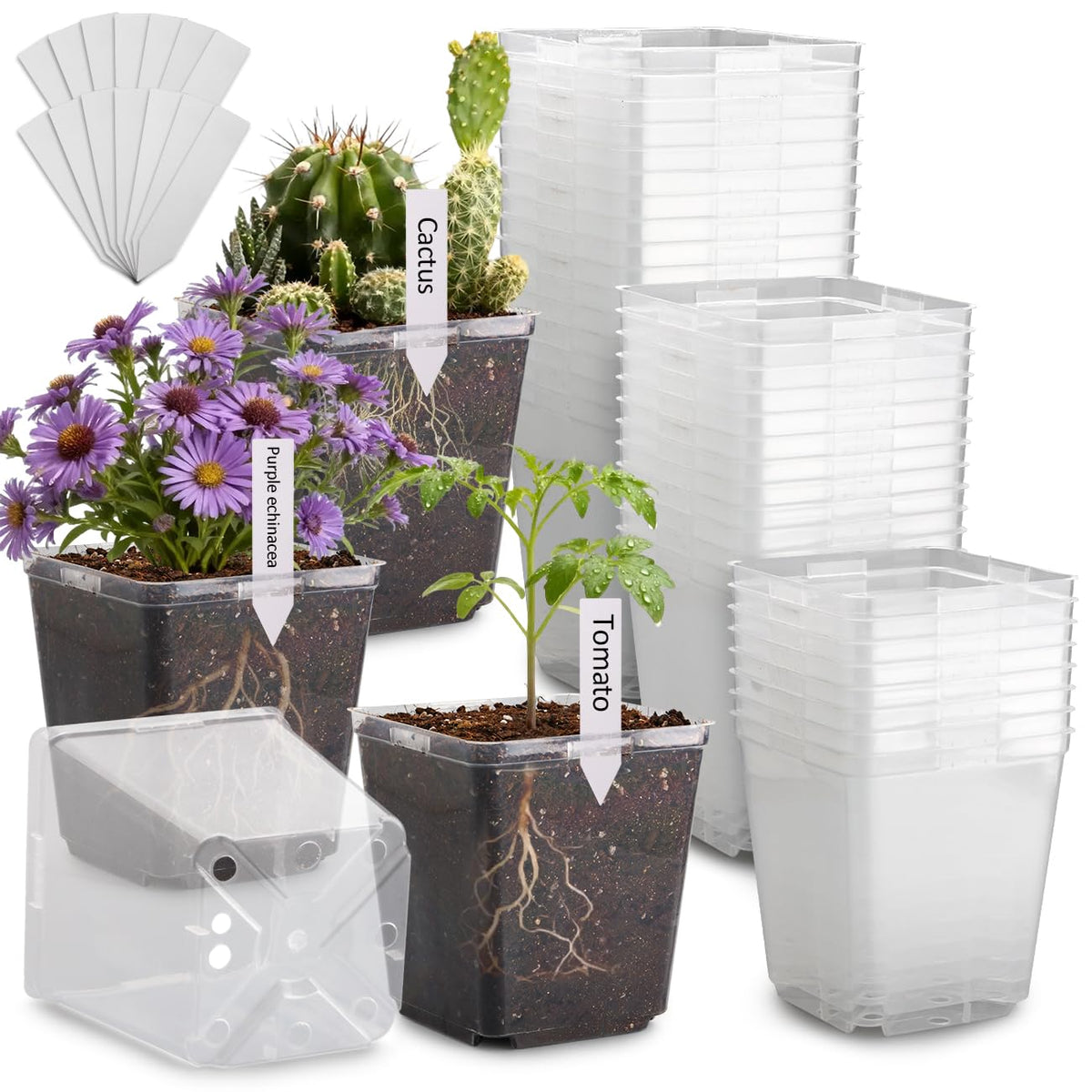 RooTrimmer 100 Pack Plant Nursery Pots 3.15 Inch, Durable Square Seedling Pots with Drainage Holes, Reusable Small Plastic Flower Pots for Seed Starting, Transplanting, Herb Garden