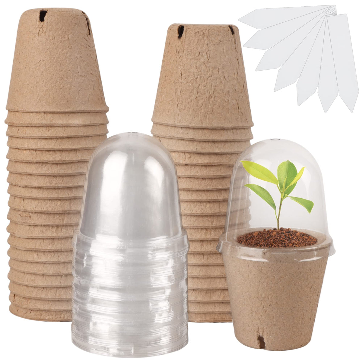 winemana 36 Set Nursery Pots with Humidity Dome, Clear Nursery Pots for Plants, Seed Starting Pots with Drainage Holes & Plant Labels for Vegetables Flowers Garden Plants