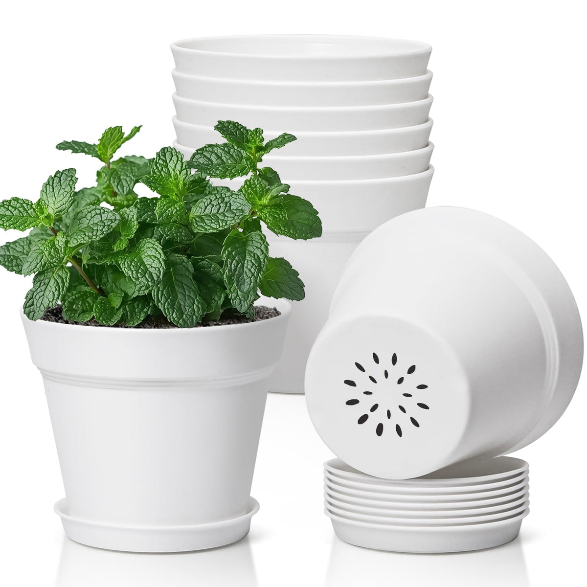 T4U Small Plant Pots 5 Inch 8 Pack, Plastic Indoor Flower Pots Saucer White