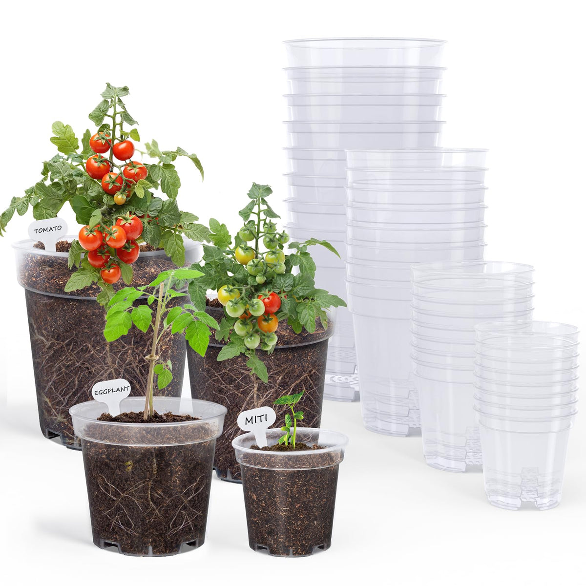 homenote 3/4/5 Inch Clear Nursery Pots with Drainage and 20 Labels (30 Pcs)