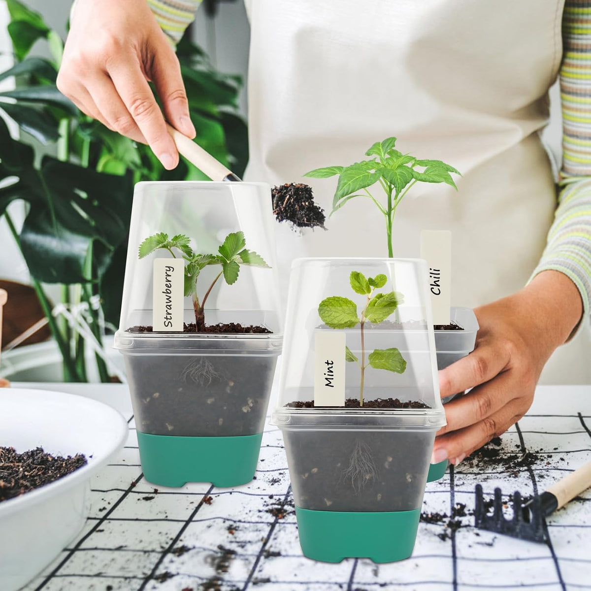 Sankoly 30 Packs Clear Nursery Pots with Plant Labels 3 Inch Plastic Plant Pot with Humidity Domes Silicone Base and Drainage Holes Reusable Seedling Pots