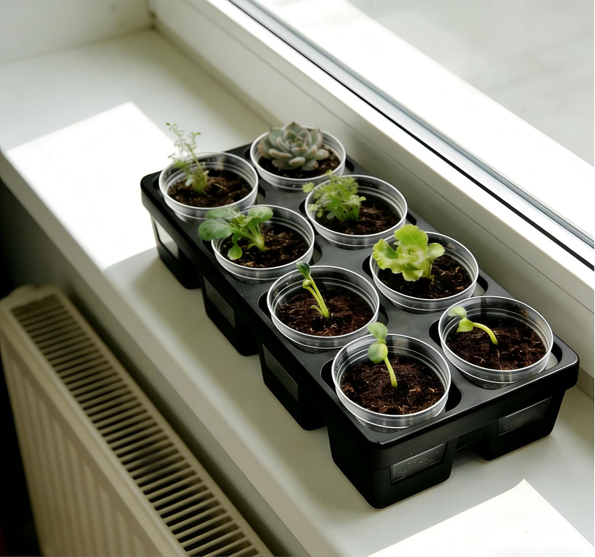 8 Cell Nursery Pot Trays 10 Pack (12"x6"x2") with 2.5 inch (6.5CM) Round Seedling Pots 80pcs (Clear), Plastic Seed Starter Tray with Removable Drain Holes for Carrying and Holding Plant Pot