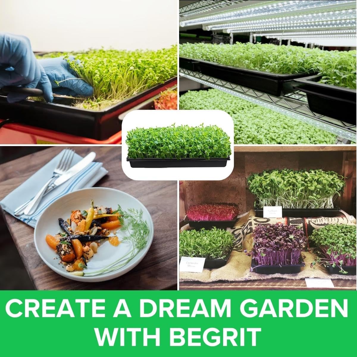 BeGrit 1010 Growing Trays Extra Strength Seed Tray 10" x 10" Without Drain Holes for Seedling Starter Microgreens Wheatgrass Fodder Hydroponic 10-Pack Black