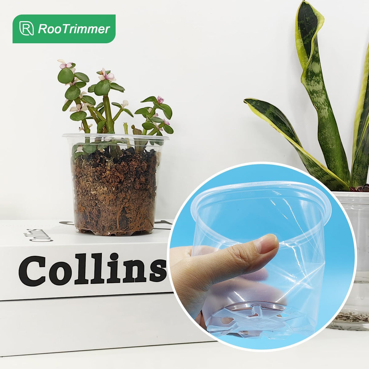 RooTrimmer Transparent Nursery Pots 3.5Inch with Humidity Domes for Seeds Starting, Clear Plastic Plant Pots with Drainage Holes (3.54Inch, 40Pcs,Clear Pots with Lids)