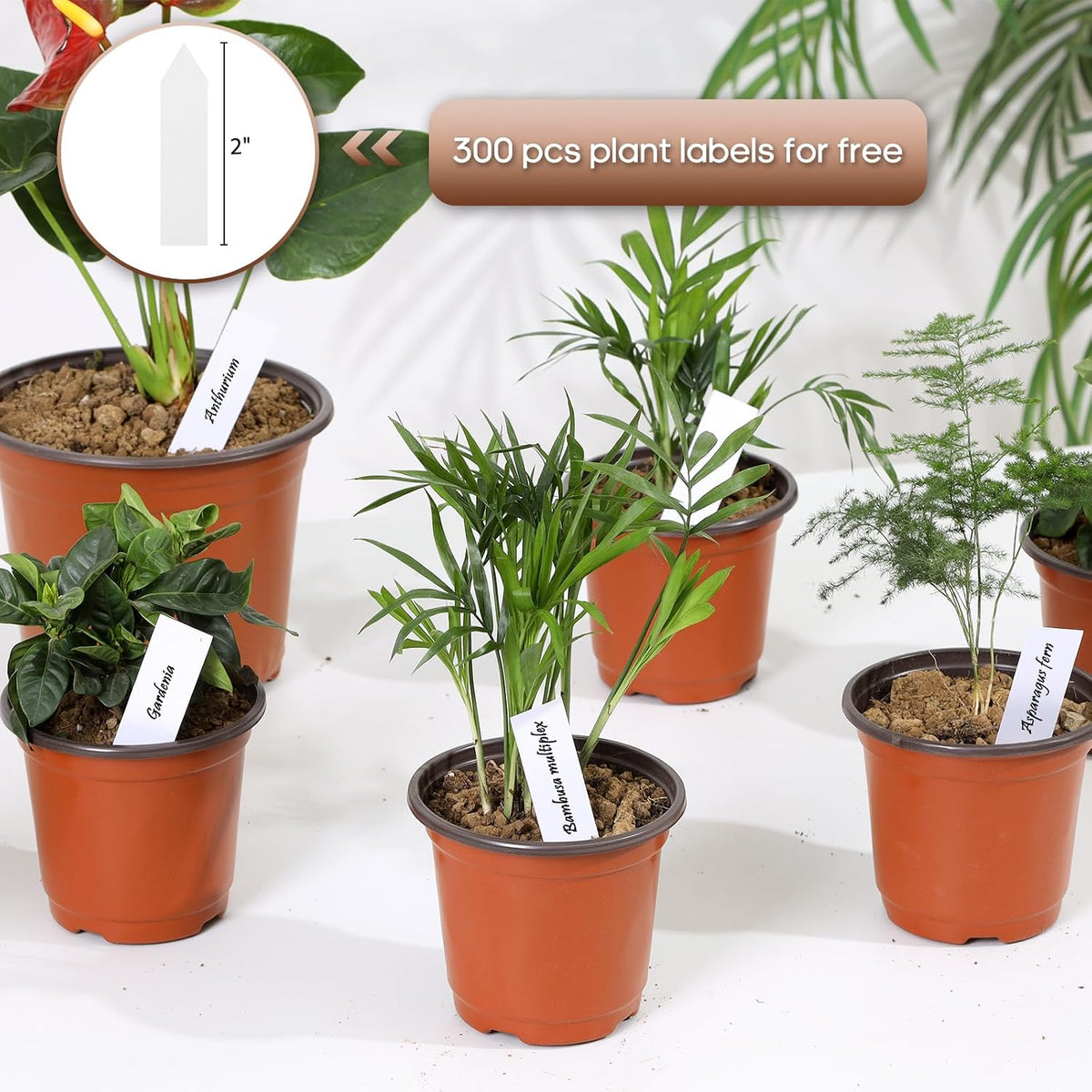4 Inch 300 Pack Plastic Nursery Pots with Drainage Holes with 300pcs Labels