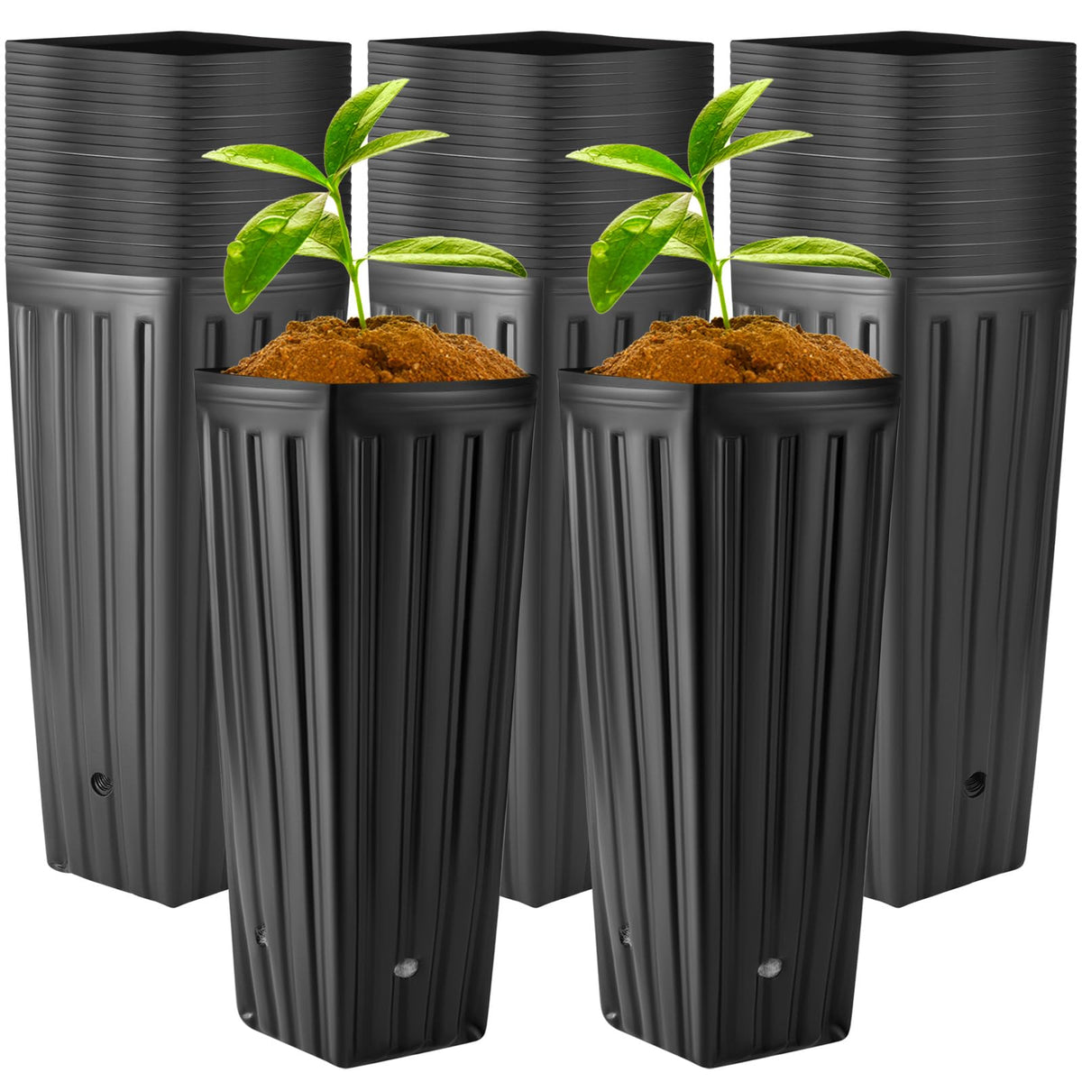 Nuenen Tall Tree Pot, Plastic Deep Nursery Pots