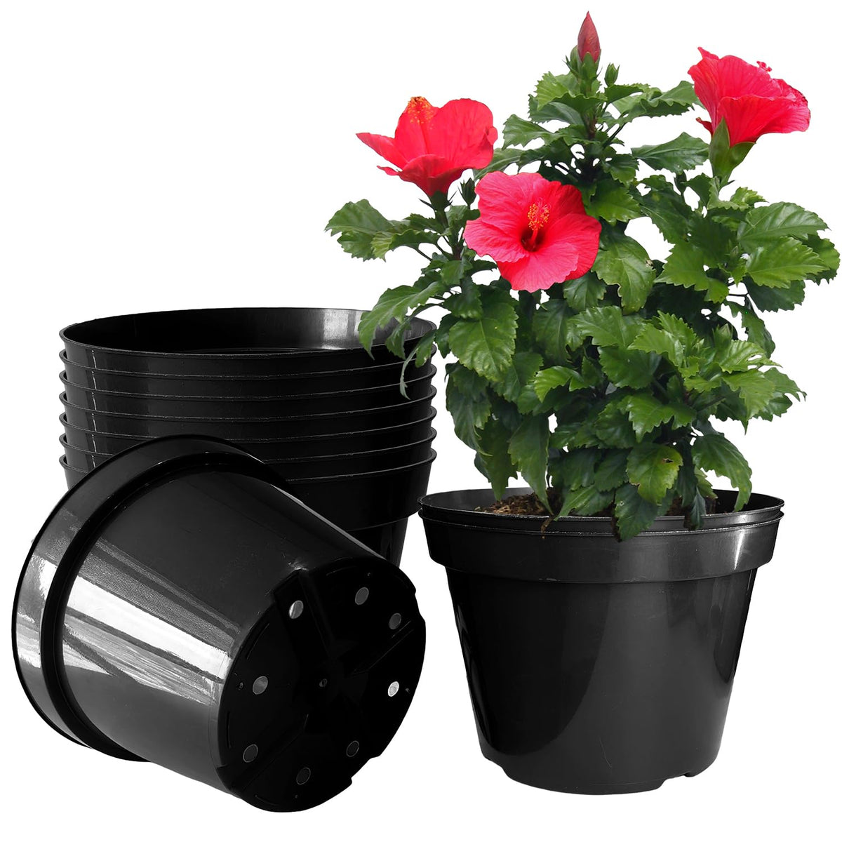 RooTrimmer 40 Pack 4 Inch Plant Nursery Pots with Mesh Pad, Sturdy Plastic Flower Planter Pots with Drainage Holes, Seed Starter Pots for Planting Seedings Cuttings Succulents Indoor Ourdoor, Black