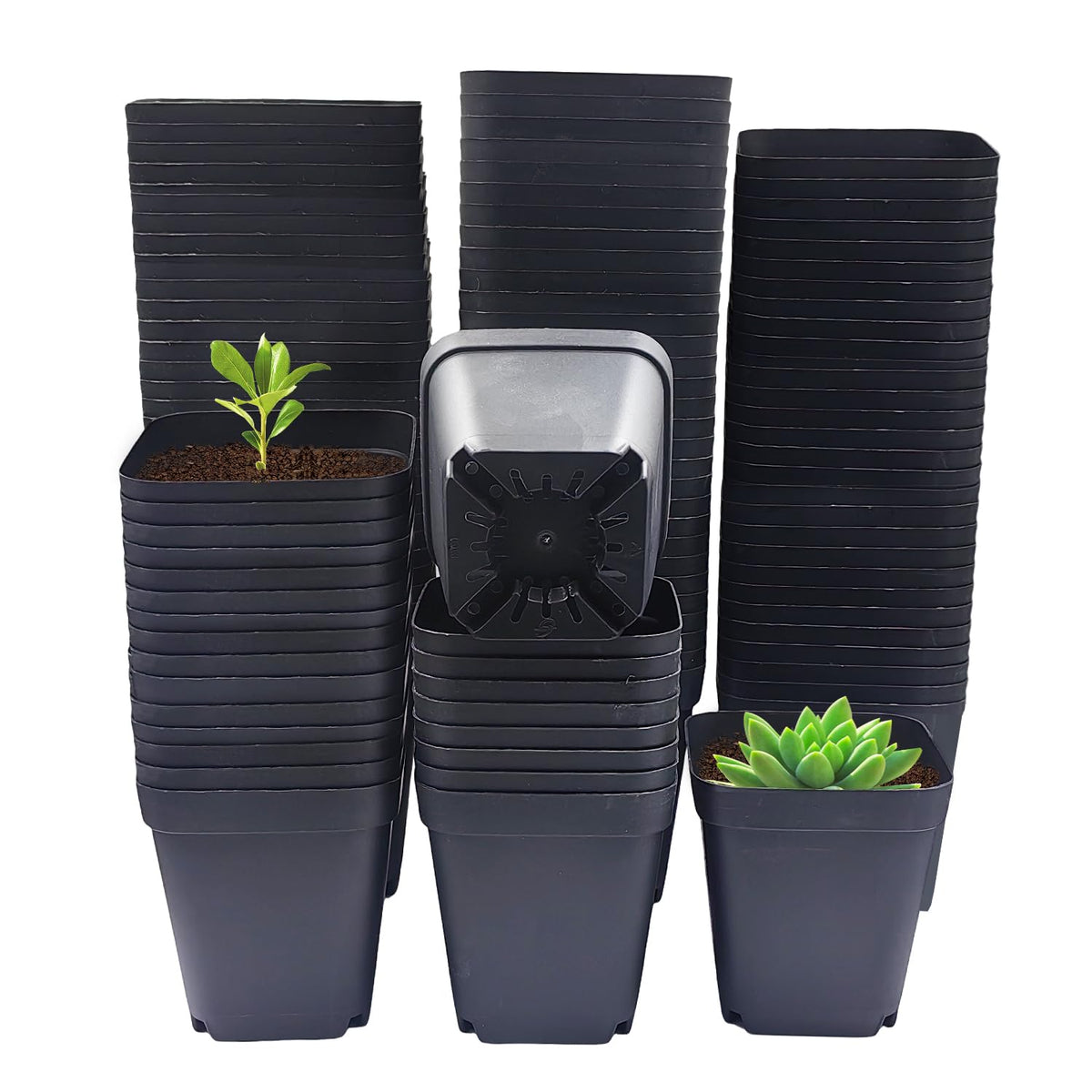 RooTrimmer 120 Packs Square Clear Nursery Pots with Drainage, 2.7 Inch Plastic Seedling Pots for Indoor Plants, Thickened Small Transplant Pot for Seed Starting Succulents Vegetables Lettuce Flowers