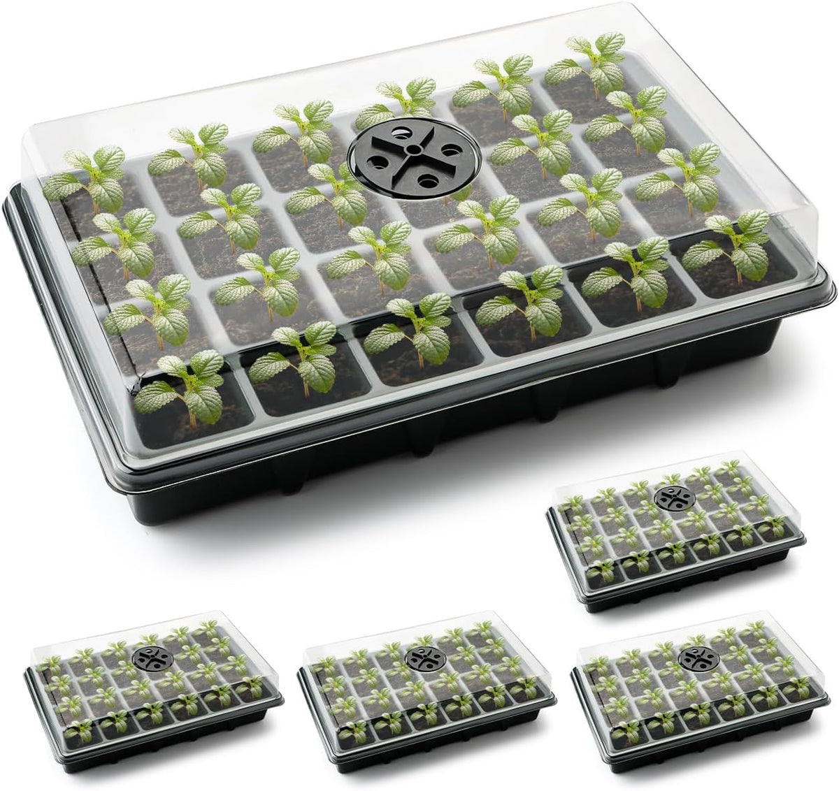 5-Pack Seed Starter Trays with Humidity Dome & Large 24-Cell Plug Trays