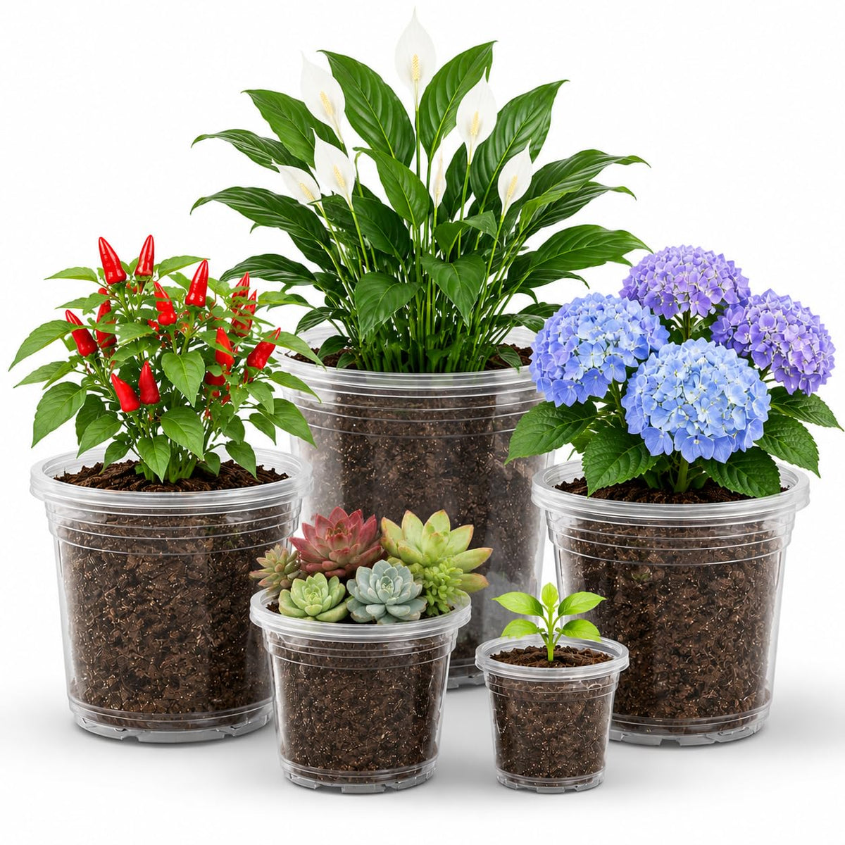 MIXC Clear Nursery Pots with Drainage Holes, 7/5/4/3.5 Inch 36 Pack