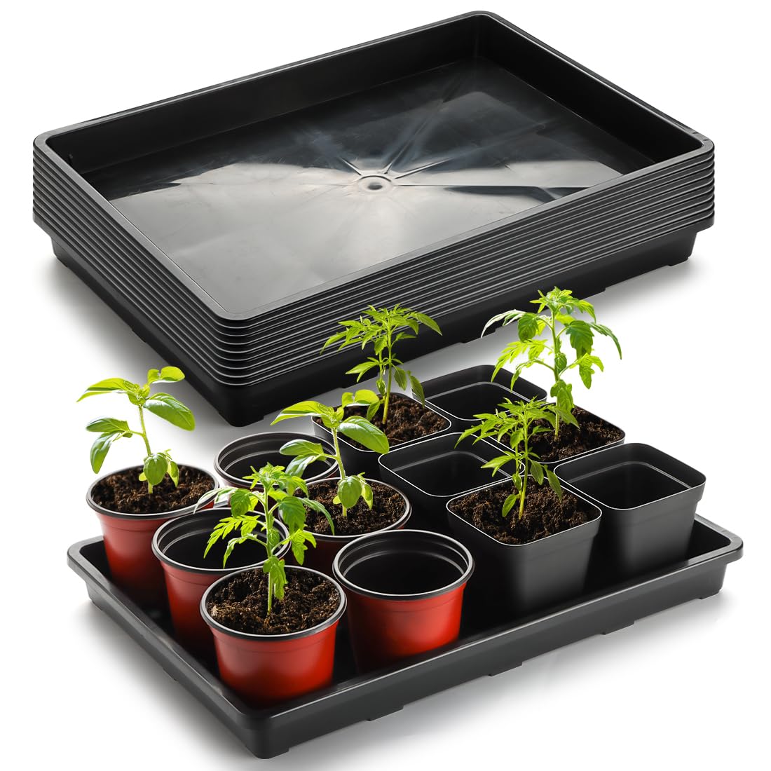 RooTrimmer Square Nursery Pot Tray with 24 Cells, 5 Pack Plant Trays for Pots, Flower Pot Moving Tray, Plastic Planting Tray for Carrying Small Plant Pots(120 Cells in Total