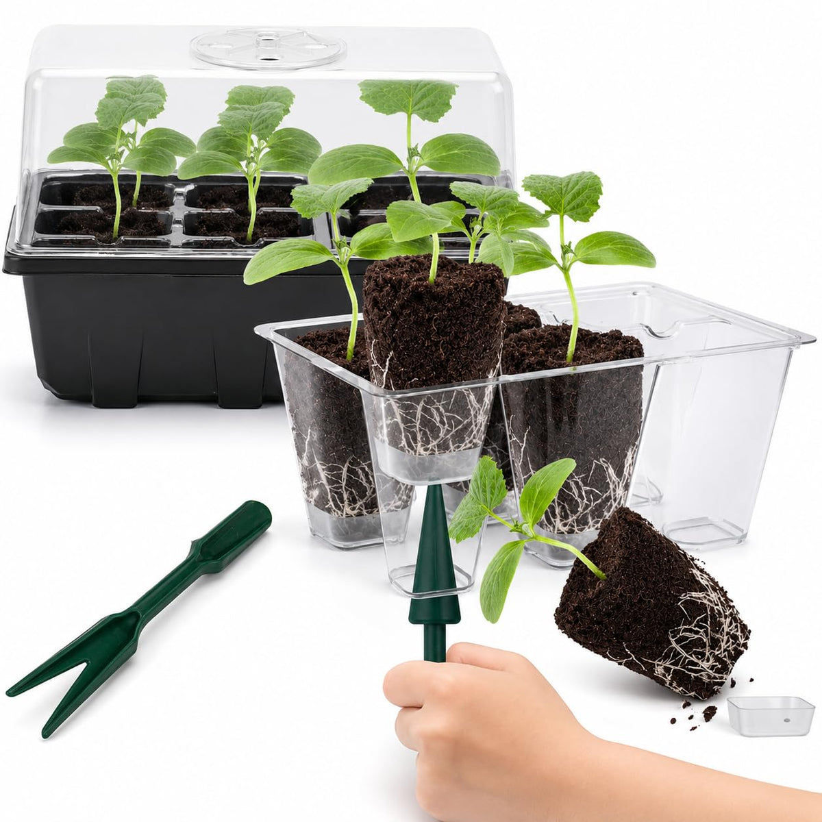 Gardzen 10 Pack Seed Starter Trays with Dome and Clear Base 120 Cell